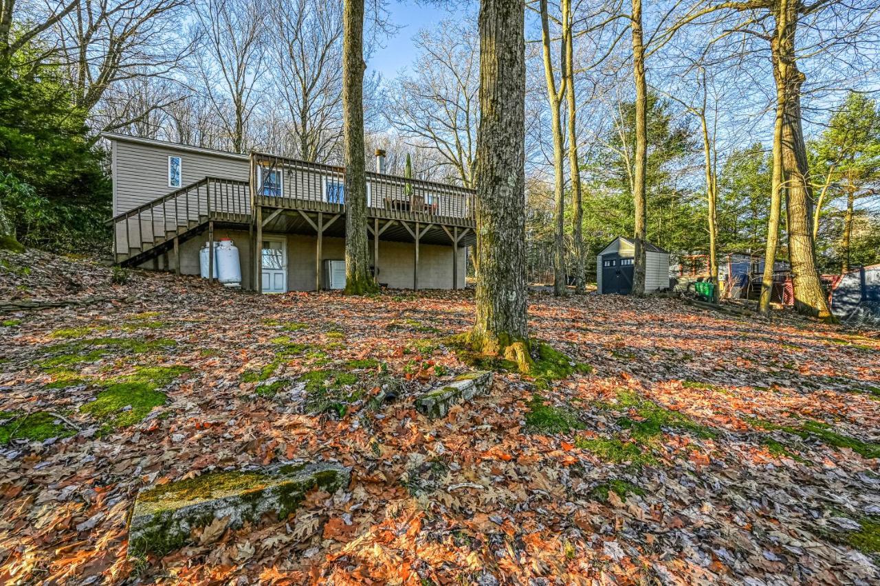 Birdhouse Lodge オークランド エクステリア 写真
